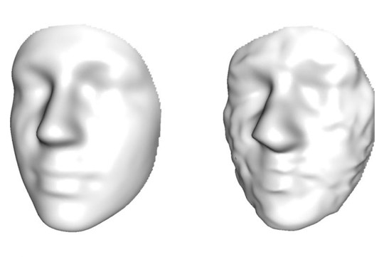 Data Privacy in 3D Facial Imaging